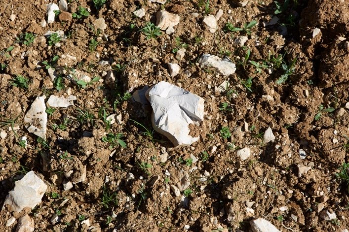 Soil and limestone in Nuits-Saint-Georges 1er Cru Les Vallerots