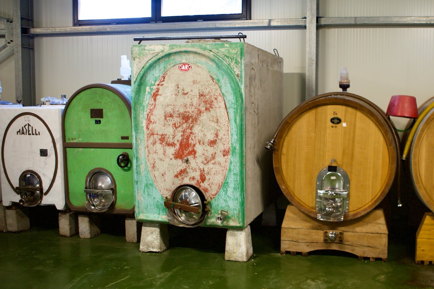 Concrete tanks and barrels in the I Fabbri cellar