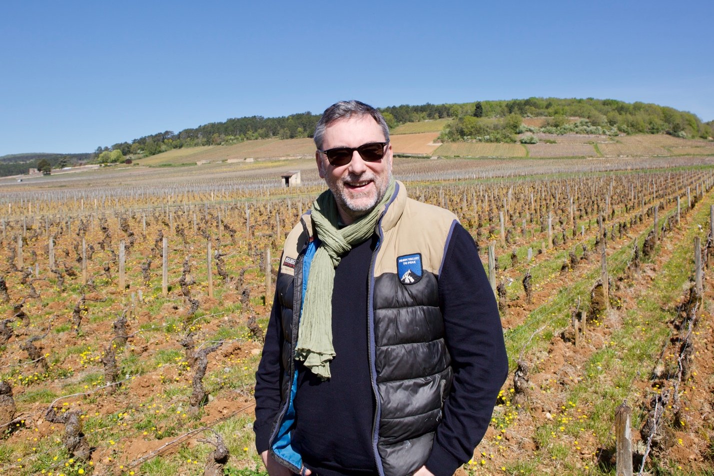 In the vineyards of Savigny-lès-Beaune