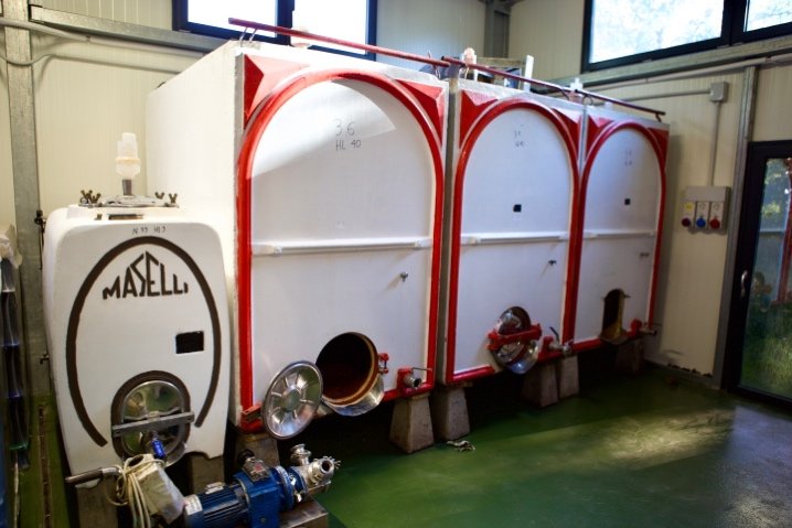 Concrete tanks in the I Fabbri cellar