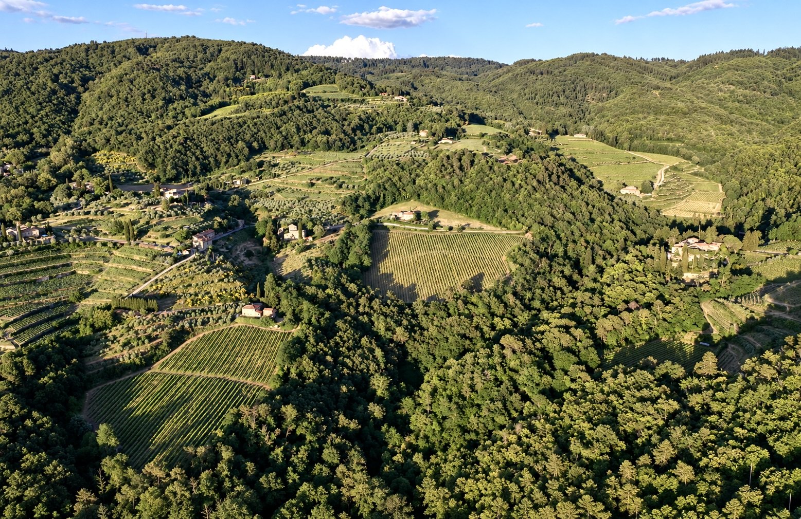 Aerial view of Lamole's vineyards and forest