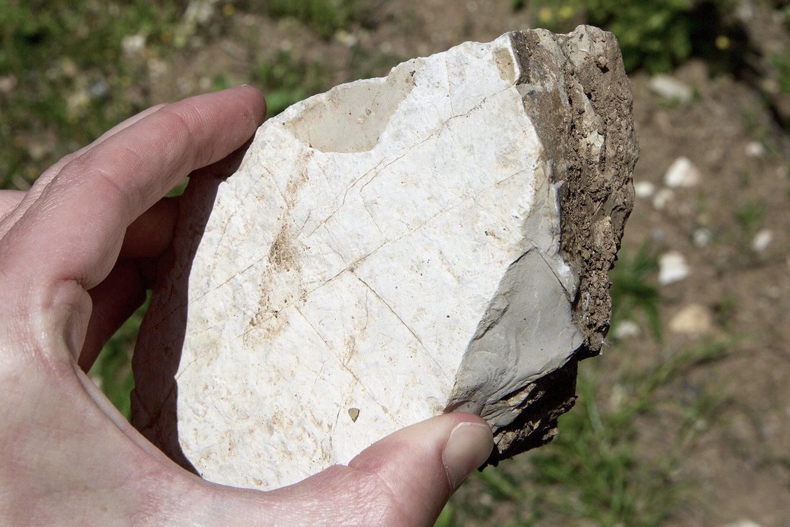 Alberese limestone, Gaiole